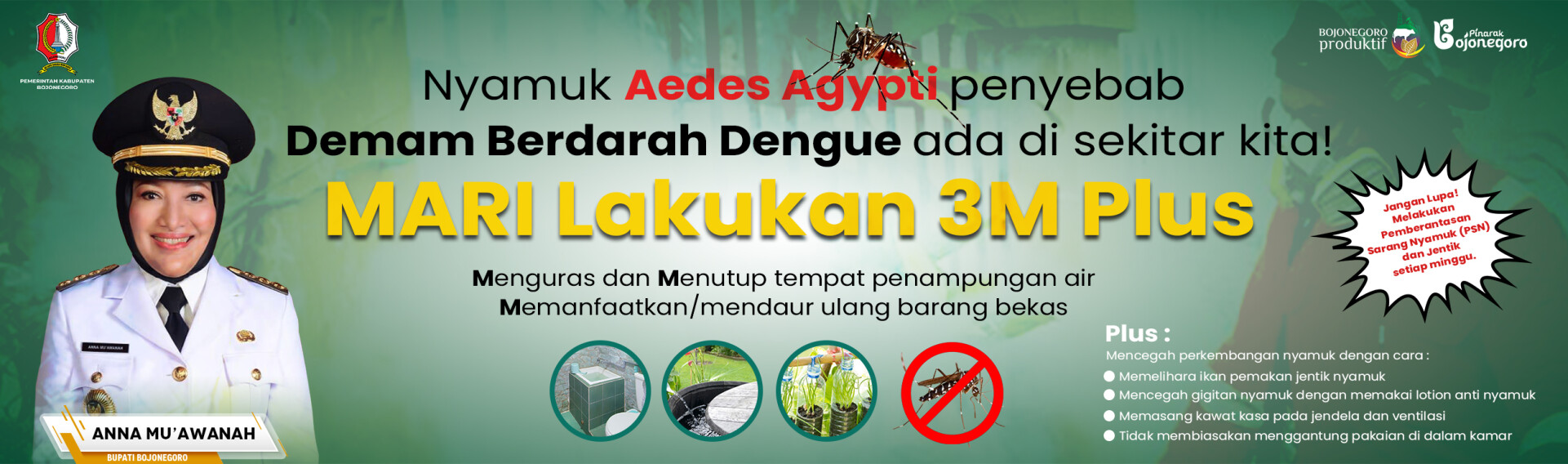 Nyamuk Aedes Agypti Penyebab Demam Berdarah Dengue Ada di Sekitar Kita